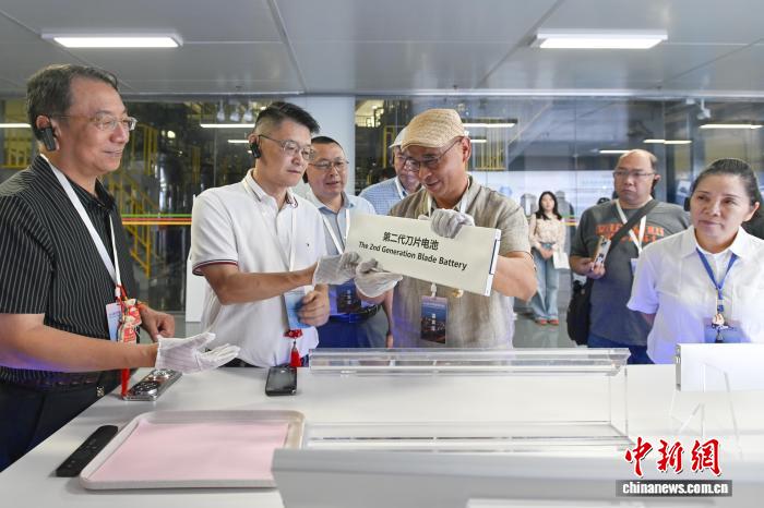 电竞热点：2024年热门赛事分析 - 九游下载ruilongmu